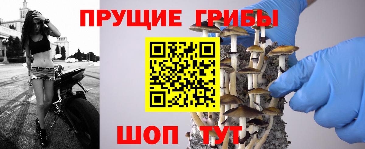 Псилоцибиновые грибы мухоморы  Вход с VPN  купить закладку  Заволжье 